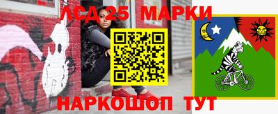 метадон Кингисепп