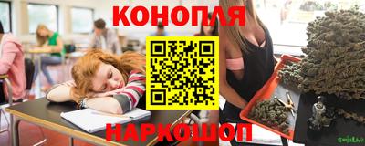 гашик Кинель